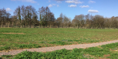 The paddock and the pathway